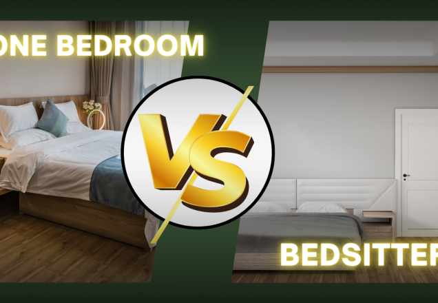 bedsitter vs one bedroom apartment layout comparison Kenya